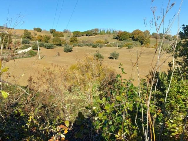 Terreno in vendita a Marche, Macerata