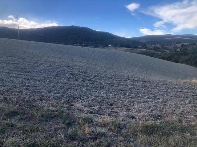 Terreno in vendita a Contrada Santa Maria in Piana, Treia