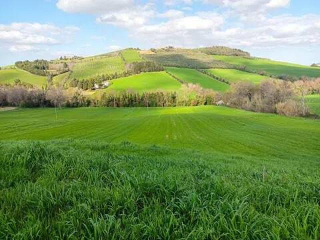 Terreno in vendita a Contrada Santa Maria in Selva, Marche