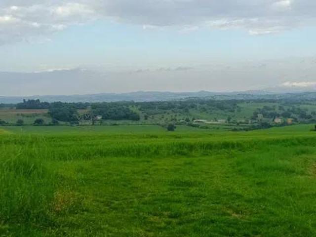 Terreno in vendita a Contrada Santa Maria in Selva, Marche