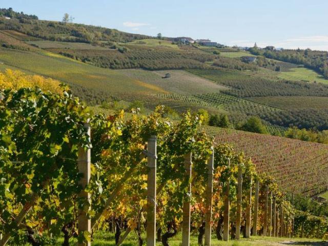 Terreno in vendita a Piemonte, Cuneo