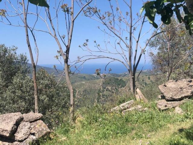 Terreno in vendita a Trentinara, Campania