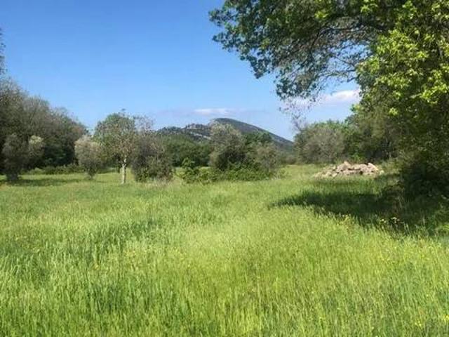 Terreno in vendita a Trentinara, Campania