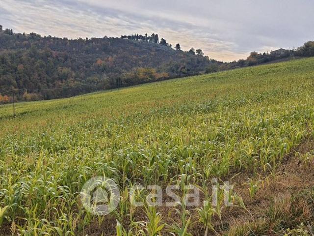 Terreno in vendita a Trevi, Perugia