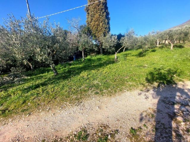 Terreno in vendita a Trevi, Umbria