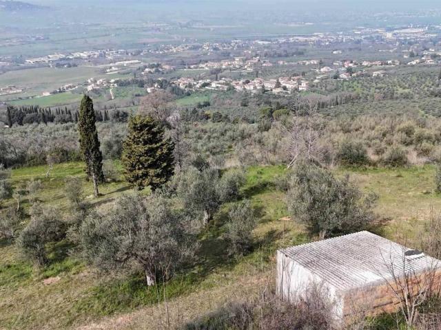 Terreno in vendita a Trevi, Umbria
