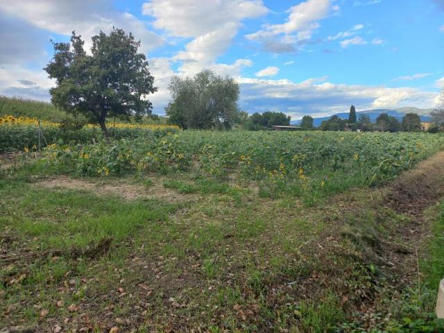 Terreno in vendita a Trevi, Umbria