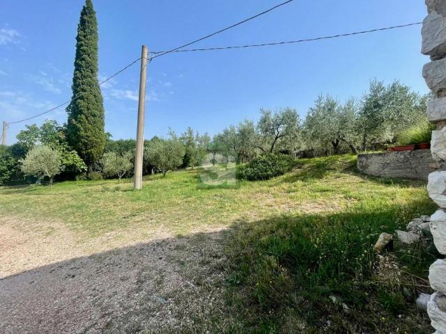 Terreno in vendita a Trevi, Umbria