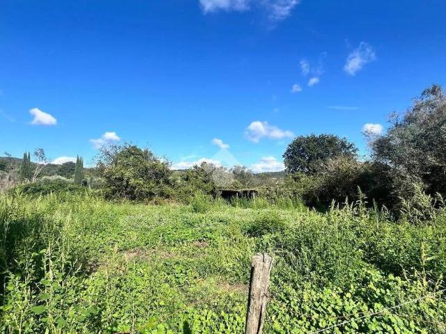 Terreno in vendita a Trevignano Romano, Roma Capitale