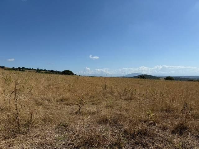 Terreno in vendita a Roma Capitale, Lazio