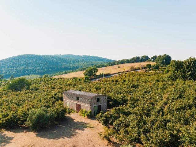 Terreno in vendita a Roma Capitale, Lazio