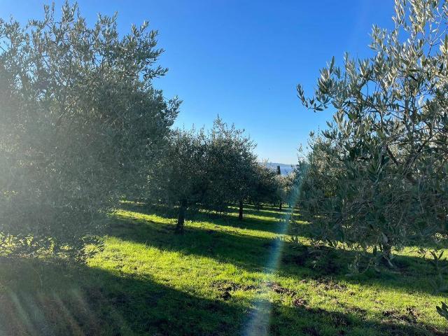 Terreno in vendita a Roma Capitale, Lazio