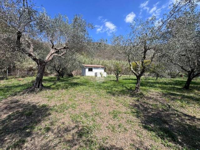 Terreno in vendita a Roma Capitale, Lazio
