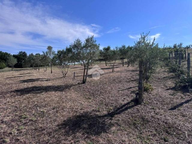 Terreno in vendita a Roma Capitale, Lazio