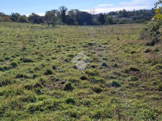 Terreno in vendita a Roma Capitale, Lazio
