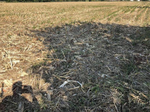Terreno in vendita a Trevignano, Veneto