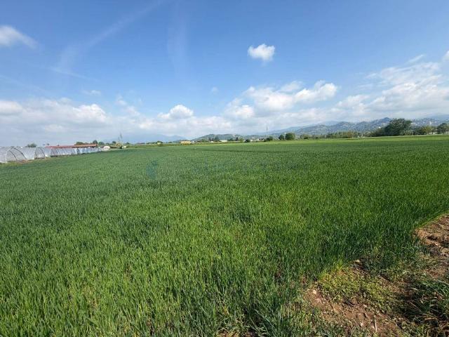 Terreno in vendita a Curnasco, Treviolo
