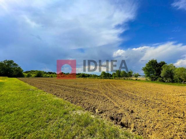 Terreno in vendita a San Lazzaro, Treviso