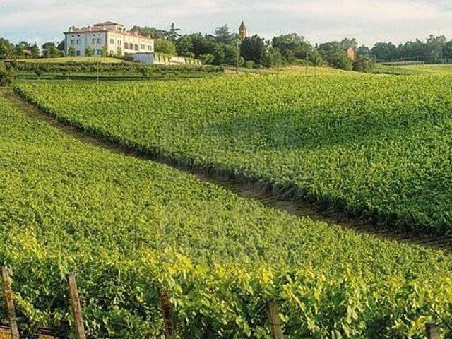 Terreno in vendita a San Zeno, Treviso