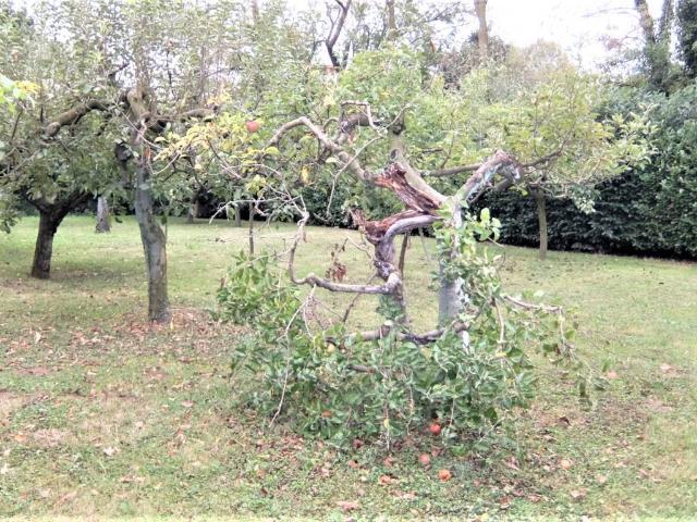Terreno in vendita a Treviso, Veneto