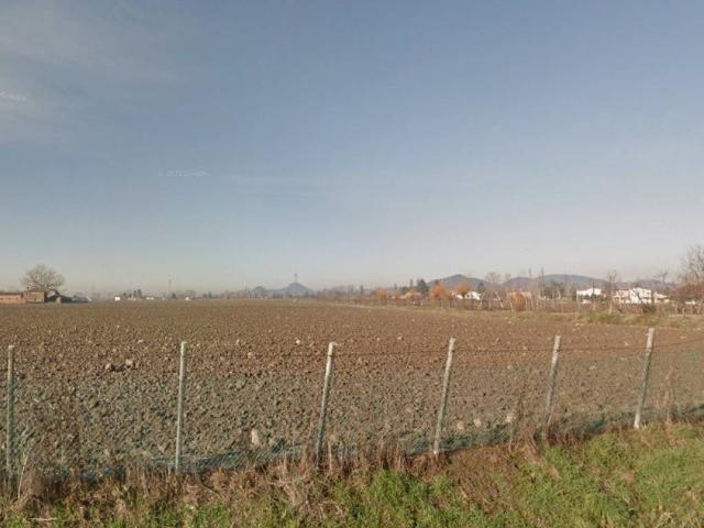 Terreno in vendita a Tribano, Veneto