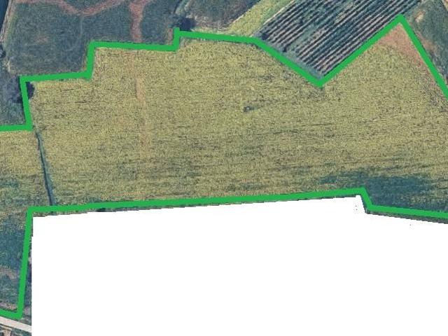 Terreno in vendita a Tribano, Veneto