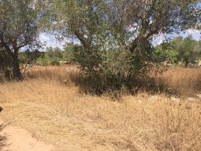 Terreno in vendita a Puglia, Lecce