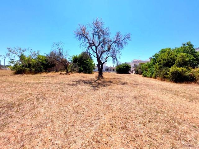 Terreno in vendita a Puglia, Lecce