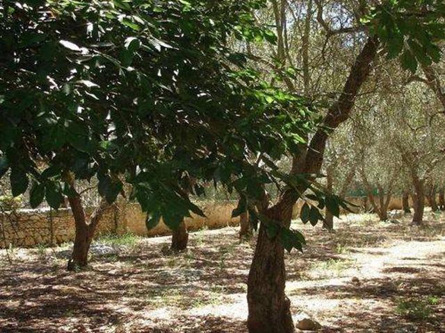 Terreno in vendita a Puglia, Lecce