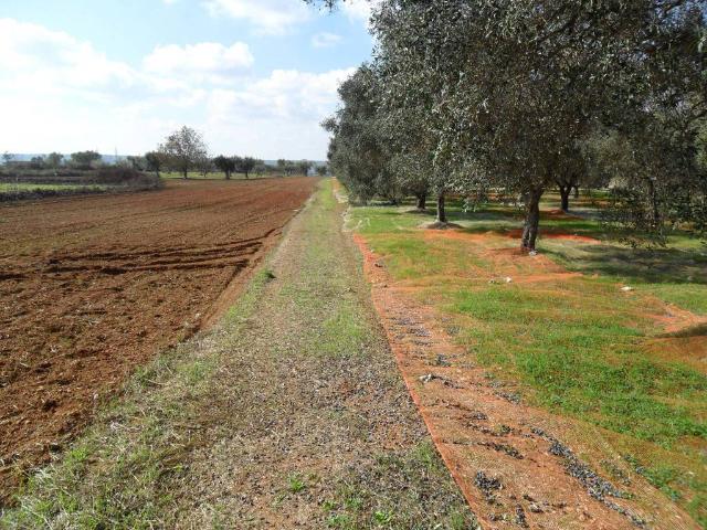 Terreno in vendita a Puglia, Lecce