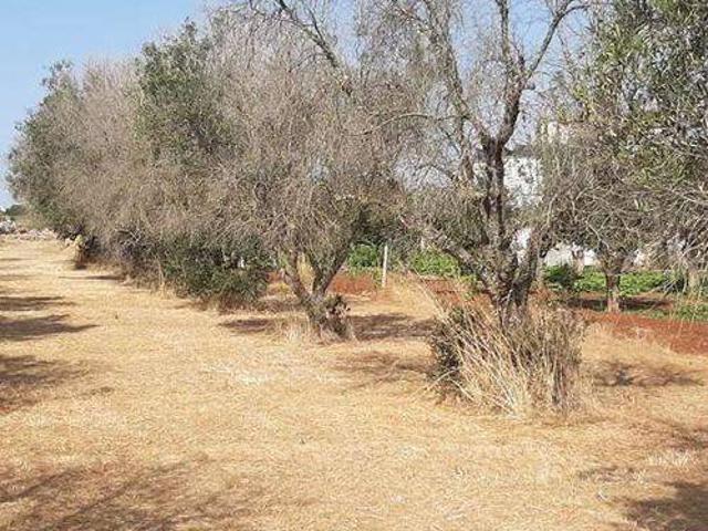 Terreno in vendita a Puglia, Lecce