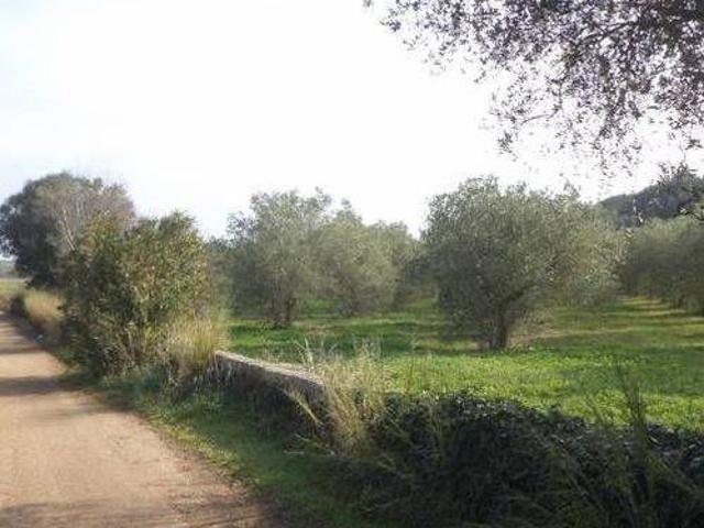 Terreno in vendita a Puglia, Lecce