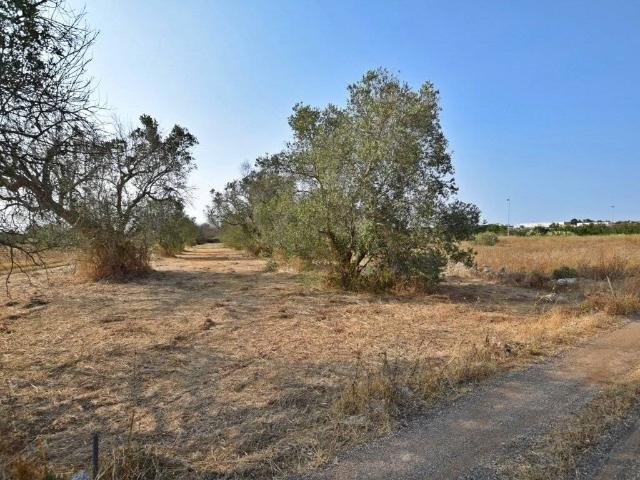 Terreno in vendita a Puglia, Lecce