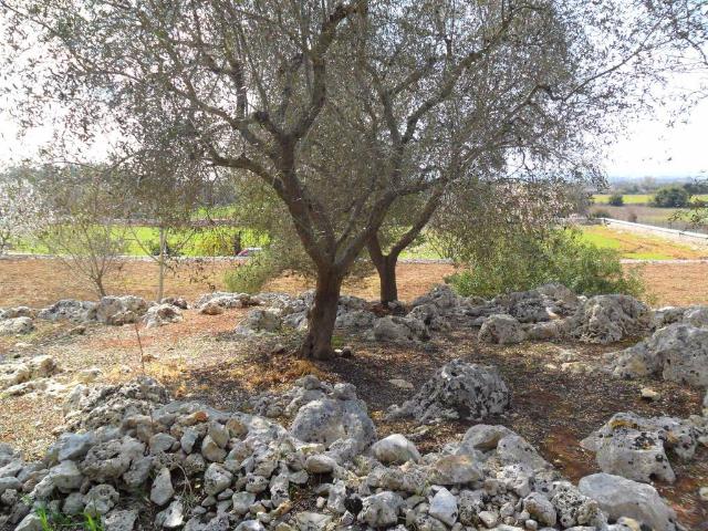 Terreno in vendita a Puglia, Lecce