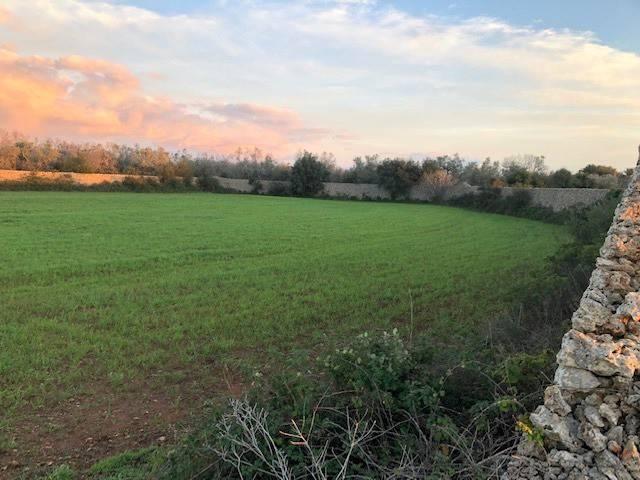 Terreno in vendita a Puglia, Lecce