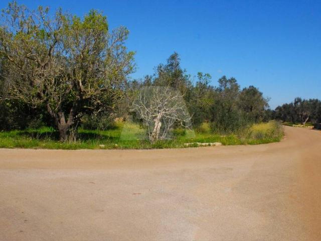 Terreno in vendita a Puglia, Lecce