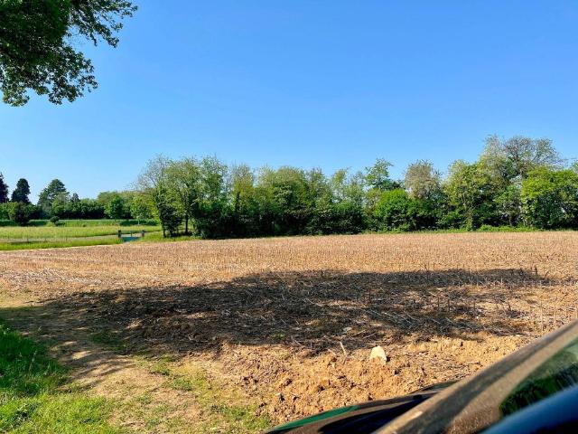 Terreno in vendita a Tricesimo, Friuli-Venezia Giulia