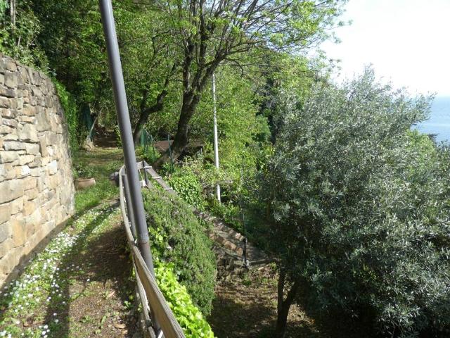 Terreno in vendita a Altipiano Ovest, Villa Opicina