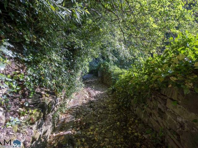 Terreno in vendita a San Giovanni-Chiadino-Rozzol, Villa Opicina