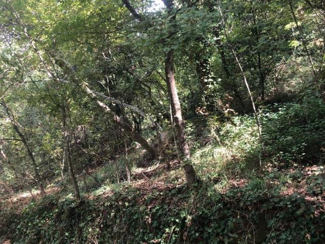 Terreno in vendita a Barcola / Barkovlje, Trieste