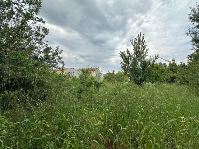 Terreno in vendita a Servola-Chiarbola-Valmaura-Borgo San Sergio, Villa Opicina