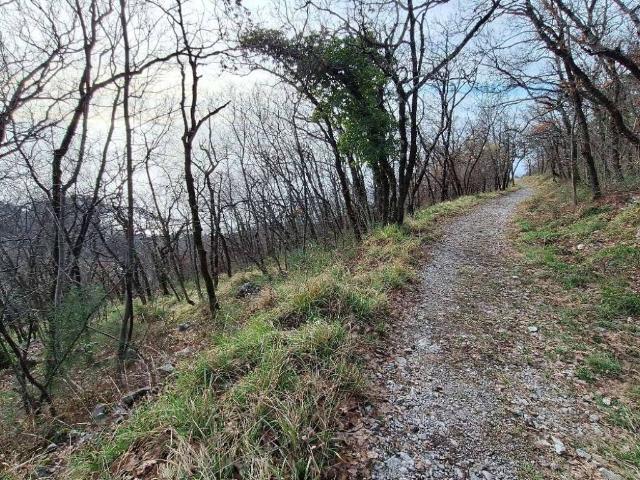 Terreno in vendita a Altipiano Ovest, Villa Opicina