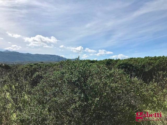 Terreno in vendita a Trinità d'Agultu e Vignola, Sardigna/Sardegna