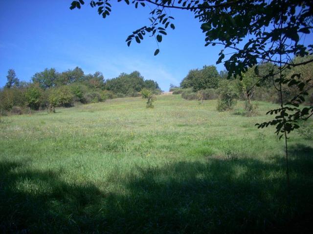 Terreno in vendita a Trivigliano, Lazio