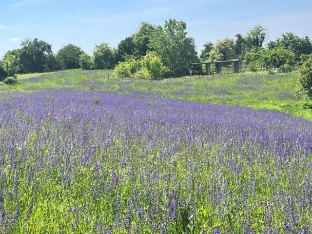 Terreno in vendita a Piemonte, Torino
