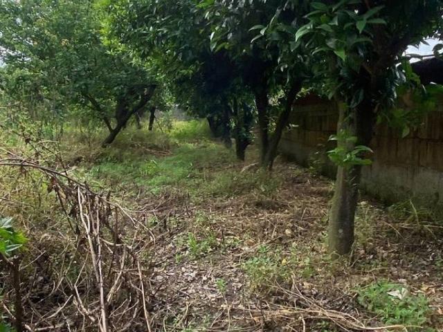 Terreno in vendita a Tufino, Campania