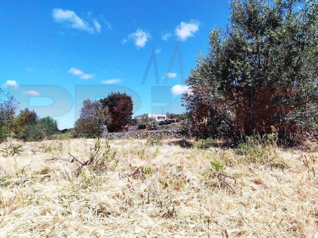 Terreno in vendita a Montegrappa, Puglia