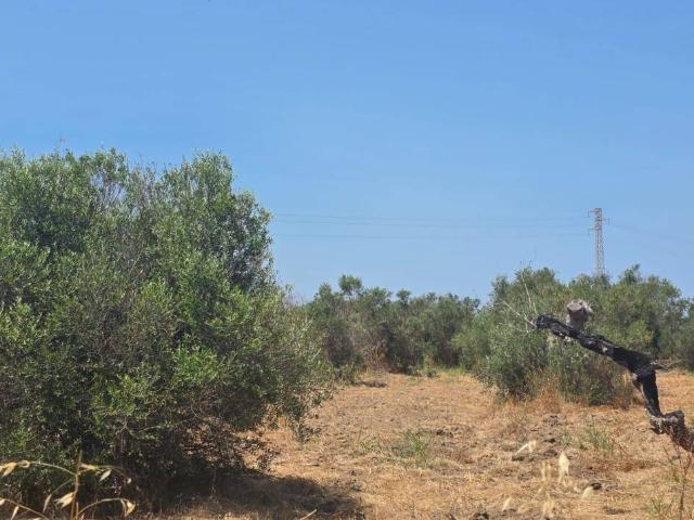 Terreno in vendita a Puglia, Lecce