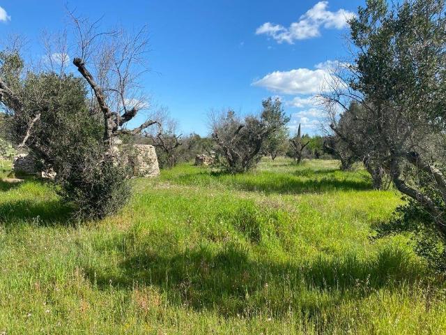 Terreno in vendita a Montegrappa, Puglia