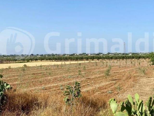 Terreno in vendita a Puglia, Lecce